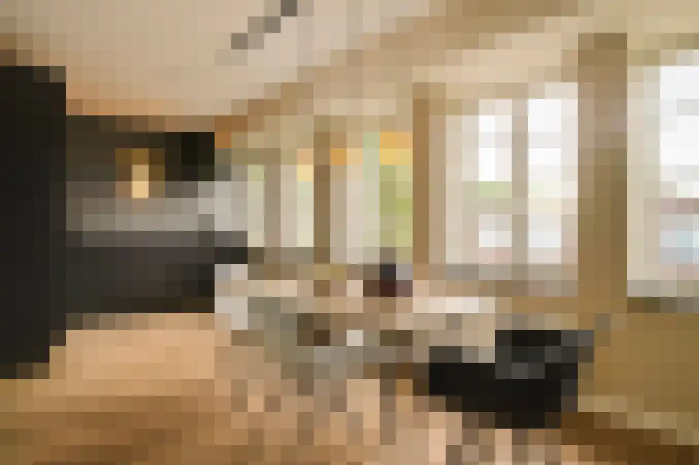 Bataviastraat 73 D Amsterdam thumbnail 5
