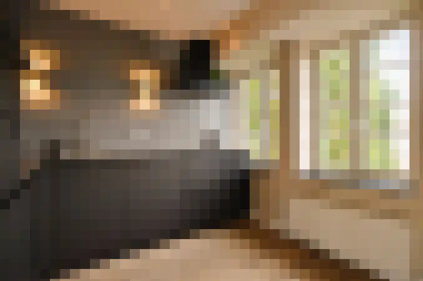 Bataviastraat 73 D Amsterdam thumbnail 9