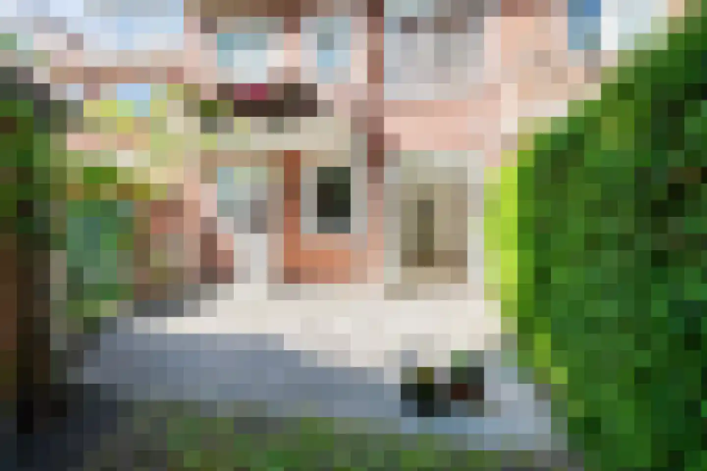 Bataviastraat 79 Groningen thumbnail 24