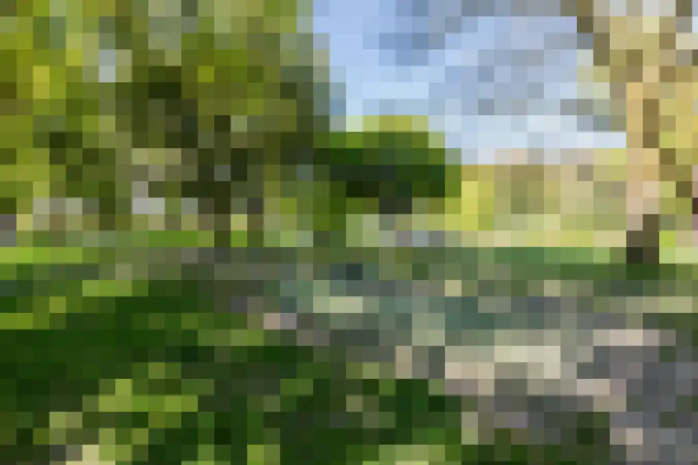 Bataviastraat 79 Groningen thumbnail 29