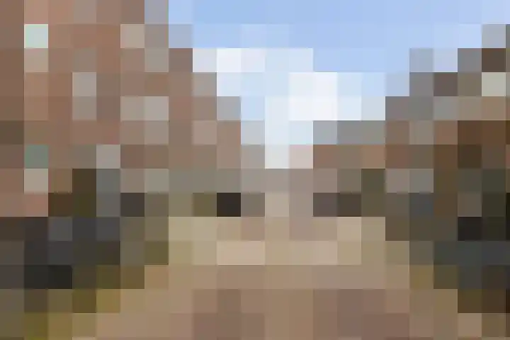 Bataviastraat 8 BS Utrecht thumbnail 19