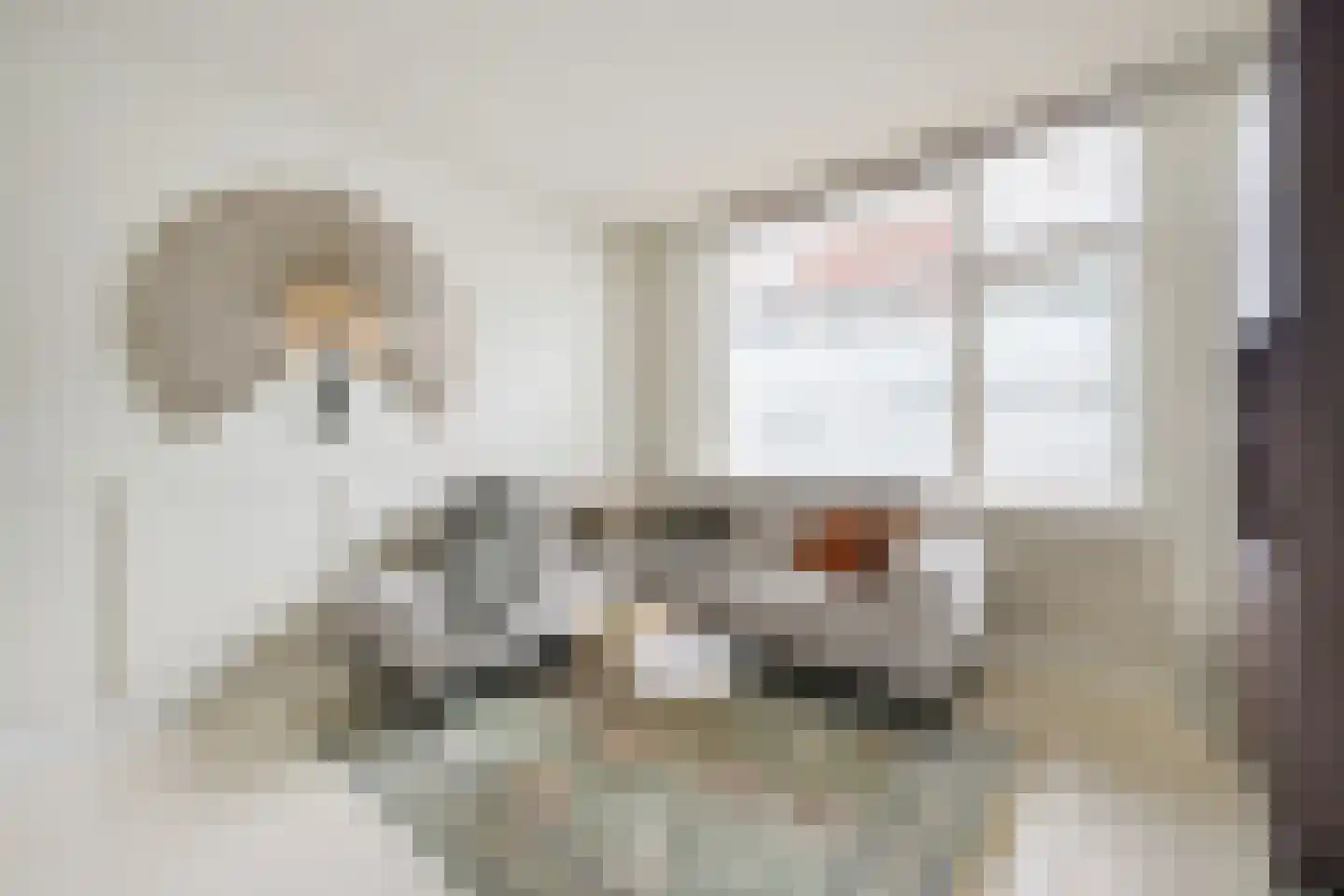 Bataviastraat 8 Utrecht thumbnail 13