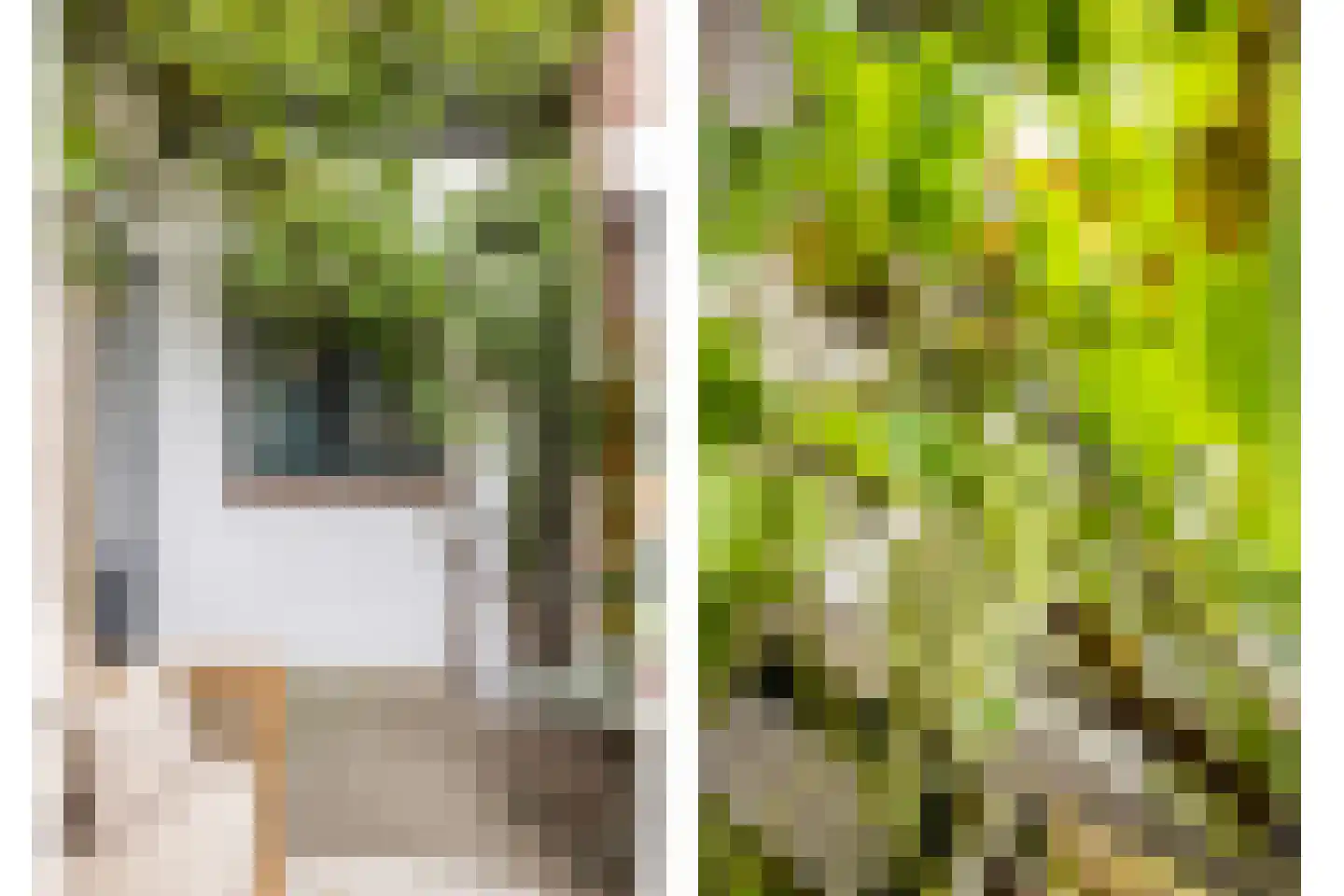 Bataviastraat 8 Utrecht thumbnail 32