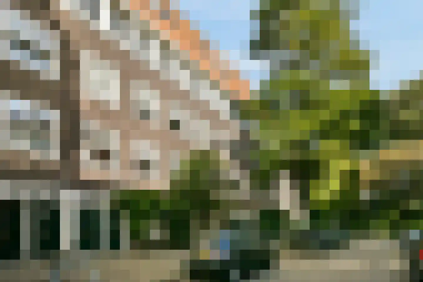 Bataviastraat 81 C Amsterdam thumbnail 24