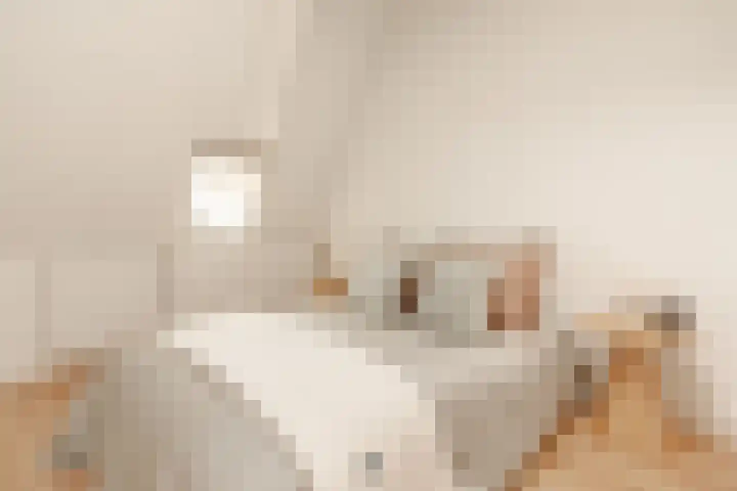 Bataviastraat 81 D Amsterdam thumbnail 18