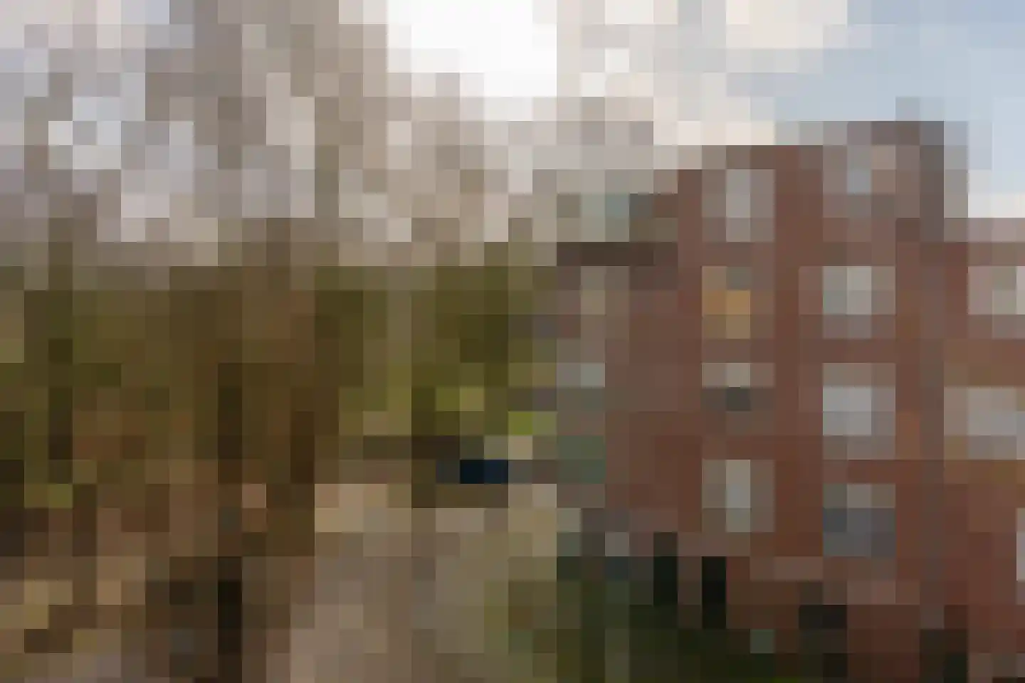 Bataviastraat 81 D Amsterdam thumbnail 27