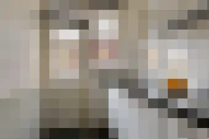 Bataviastraat 83 Groningen thumbnail 14