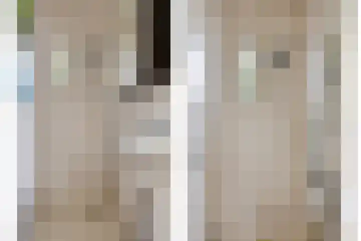 Bataviastraat 83 Groningen thumbnail 17