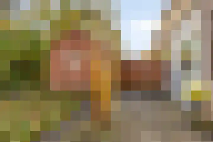 Bataviastraat 83 Groningen thumbnail 19