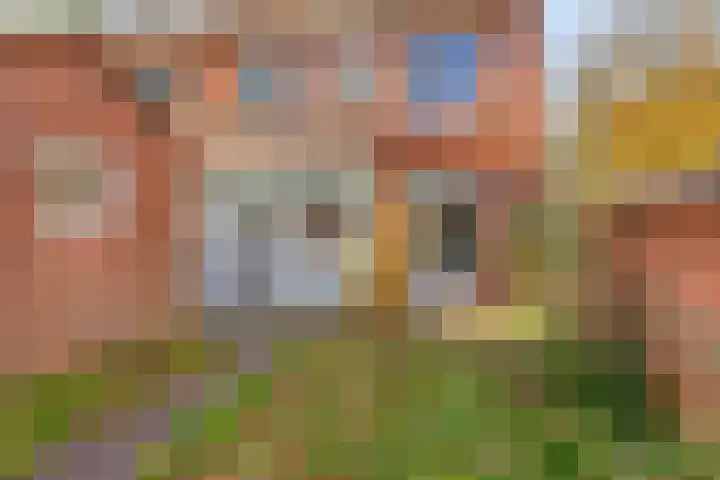 Bataviastraat 83 Groningen thumbnail 20