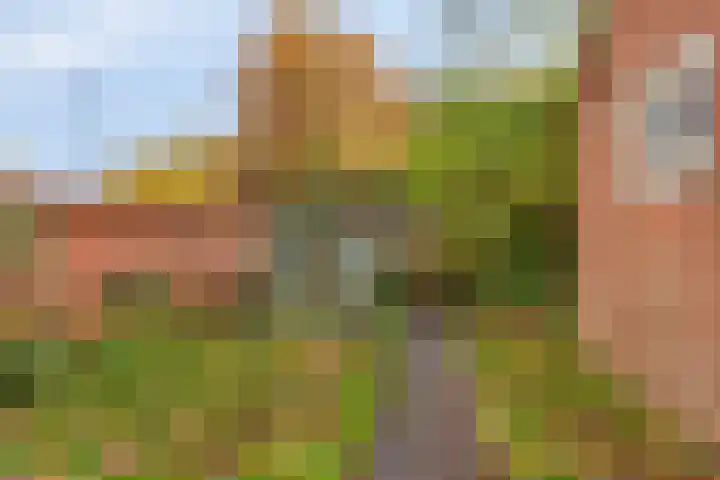 Bataviastraat 83 Groningen thumbnail 21