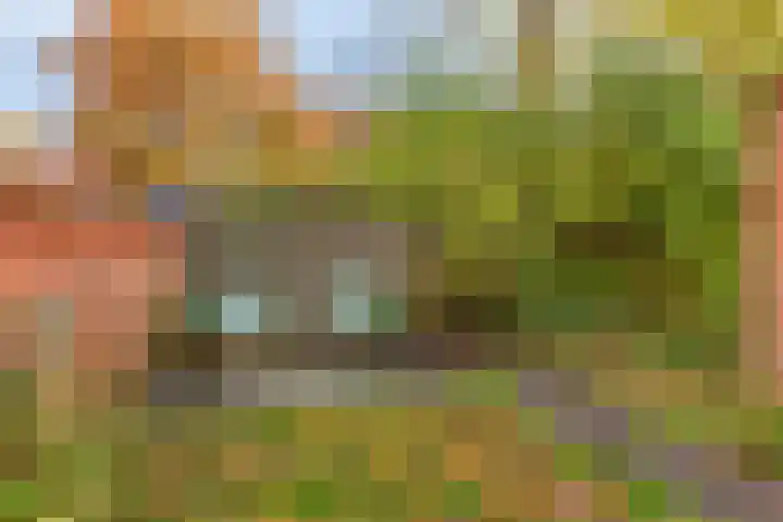 Bataviastraat 83 Groningen thumbnail 22