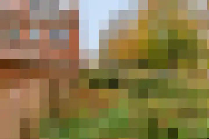 Bataviastraat 83 Groningen thumbnail 23