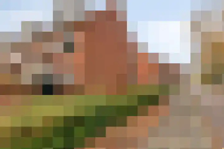 Bataviastraat 83 Groningen thumbnail 24