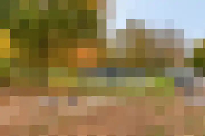 Bataviastraat 83 Groningen thumbnail 25