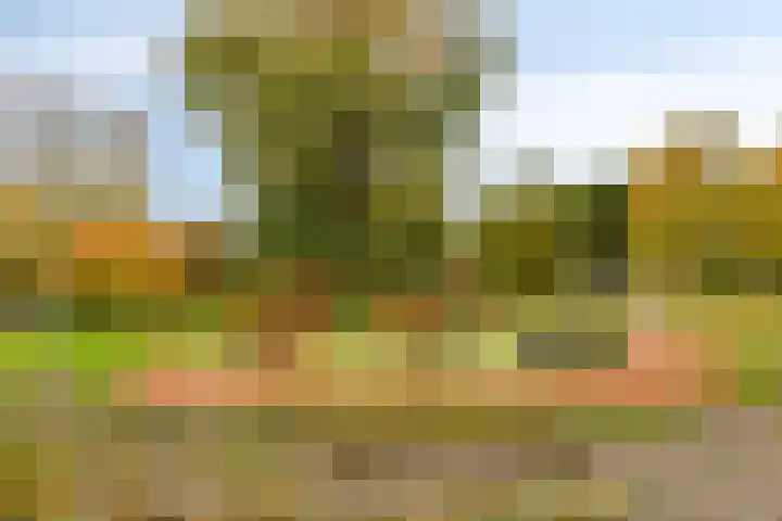 Bataviastraat 83 Groningen thumbnail 26