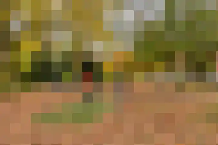 Bataviastraat 83 Groningen thumbnail 27