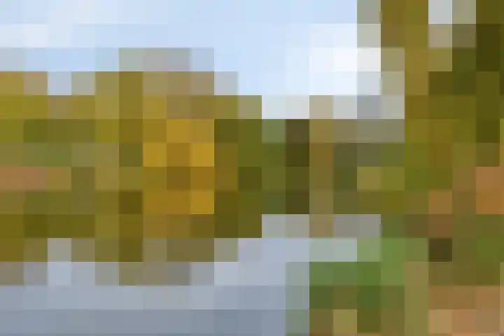 Bataviastraat 83 Groningen thumbnail 28