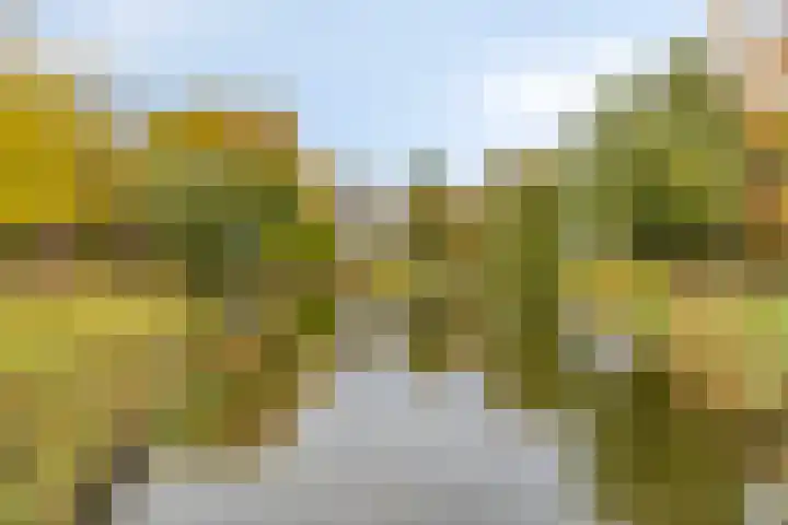 Bataviastraat 83 Groningen thumbnail 29