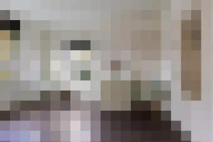 Bataviastraat 83 Groningen thumbnail 8