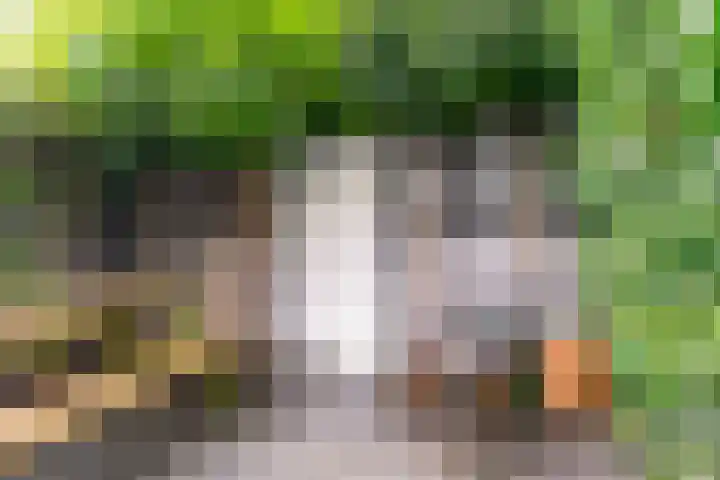 Bataviastraat 86 Utrecht thumbnail 11