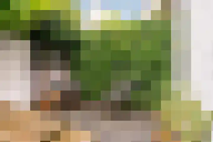Bataviastraat 86 Utrecht thumbnail 12
