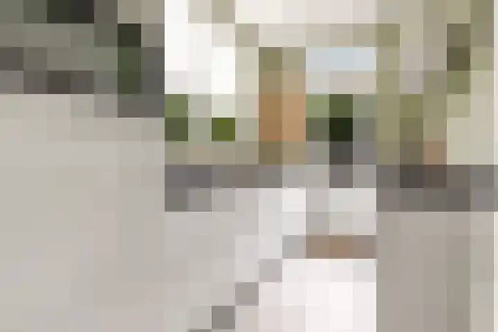 Bataviastraat 86 Utrecht thumbnail 21