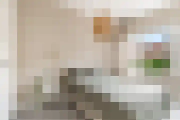 Bataviastraat 86 Utrecht thumbnail 25