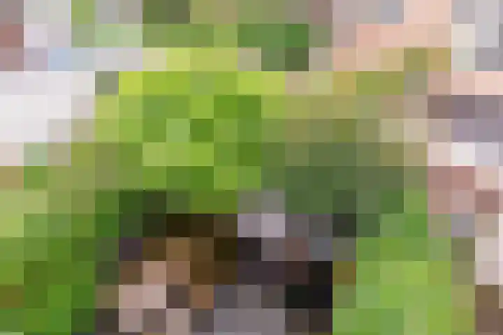 Bataviastraat 86 Utrecht thumbnail 33