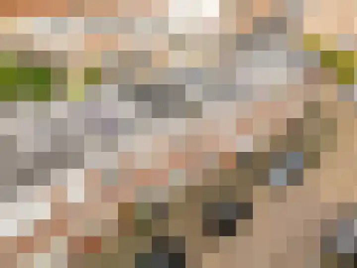 Bataviastraat 86 Utrecht thumbnail 39