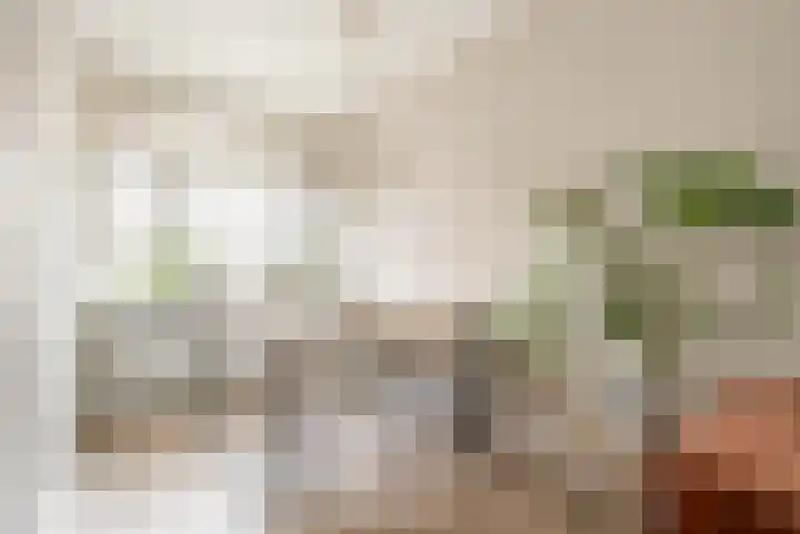 Bataviastraat 86 Utrecht thumbnail 4