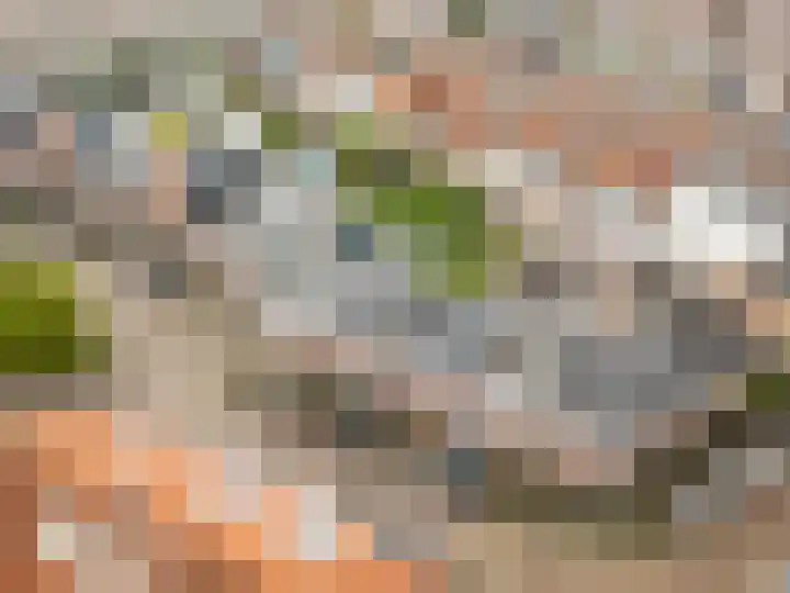 Bataviastraat 86 Utrecht thumbnail 40