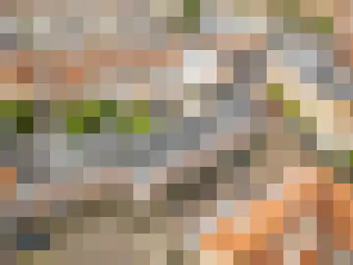 Bataviastraat 86 Utrecht thumbnail 41
