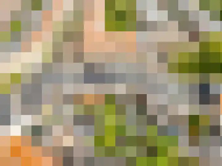Bataviastraat 86 Utrecht thumbnail 43