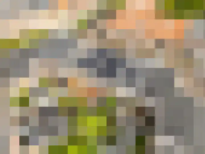 Bataviastraat 86 Utrecht thumbnail 45