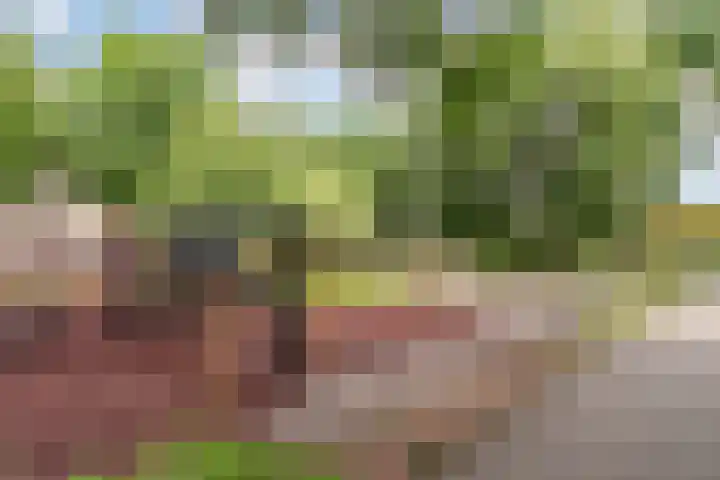 Bataviastraat 86 Utrecht thumbnail 46