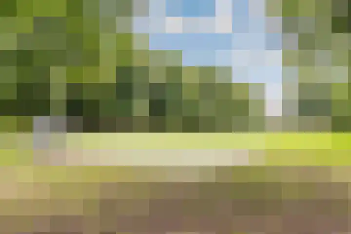 Bataviastraat 86 Utrecht thumbnail 47