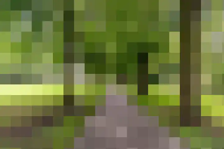 Bataviastraat 86 Utrecht thumbnail 48