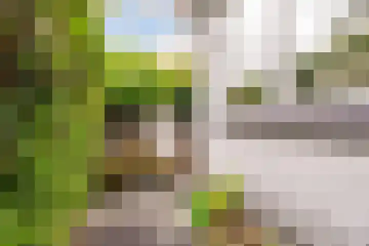 Bataviastraat 86 Utrecht thumbnail 8
