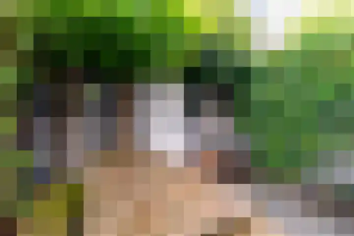 Bataviastraat 86 Utrecht thumbnail 9