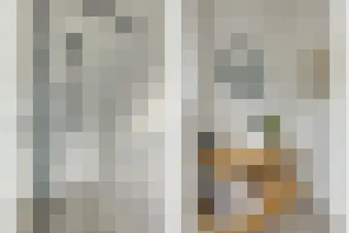 Bataviastraat 89 Utrecht thumbnail 11