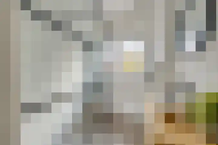Bataviastraat 89 Utrecht thumbnail 12