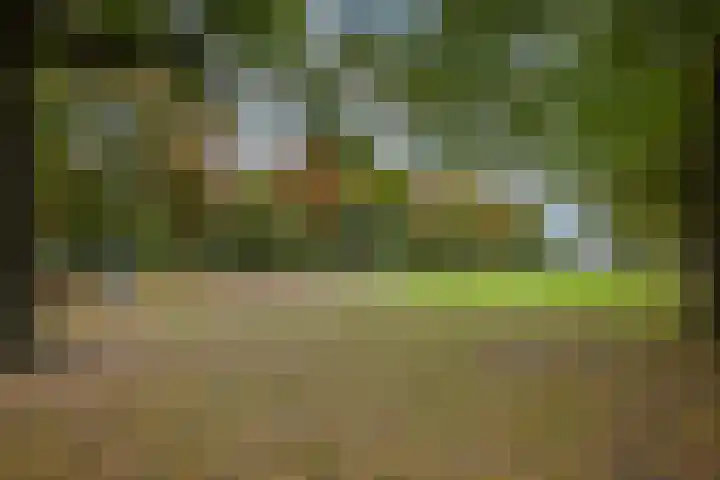 Bataviastraat 89 Utrecht thumbnail 17