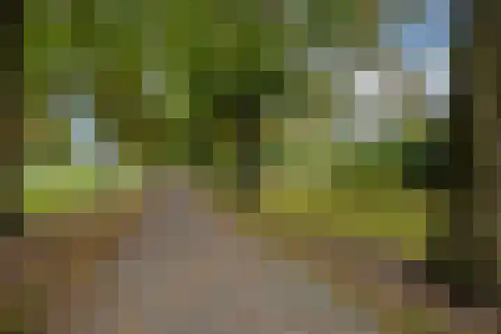 Bataviastraat 89 Utrecht thumbnail 18