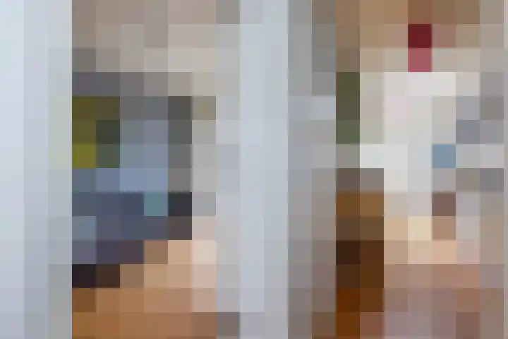 Batavierenplantsoen 24 Haarlem thumbnail 12