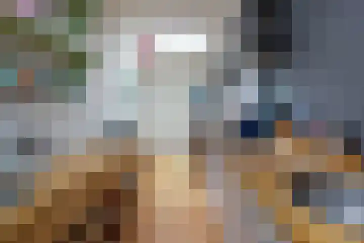 Batavierenplantsoen 24 Haarlem thumbnail 14
