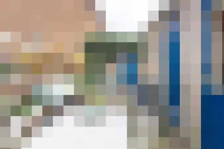 Batavierenplantsoen 24 Haarlem thumbnail 19