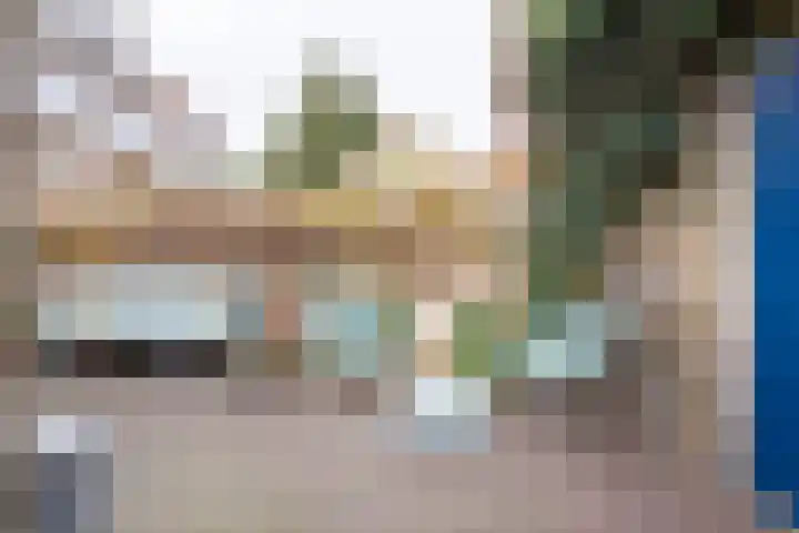 Batavierenplantsoen 24 Haarlem thumbnail 20