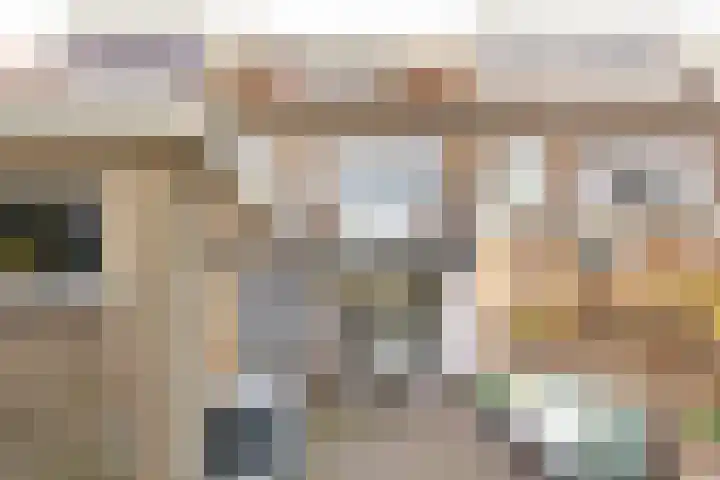 Batavierenplantsoen 24 Haarlem thumbnail 21