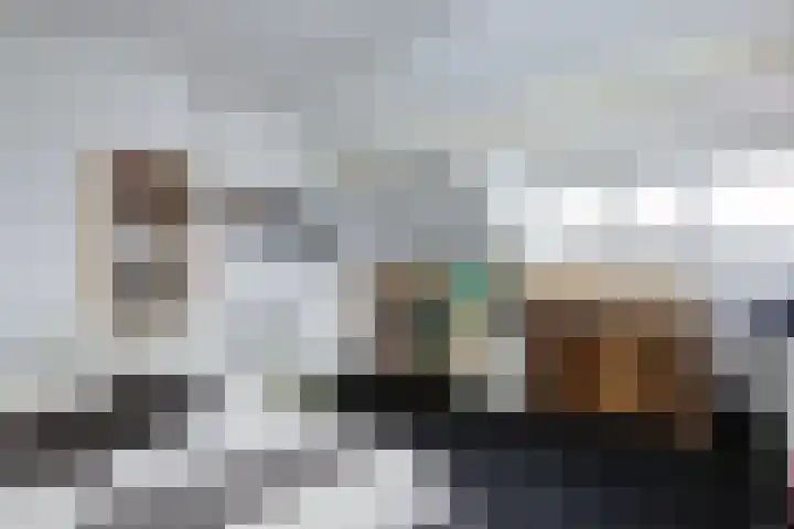 Batavierenplantsoen 24 Haarlem thumbnail 29